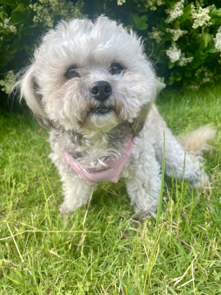 Lexi close up