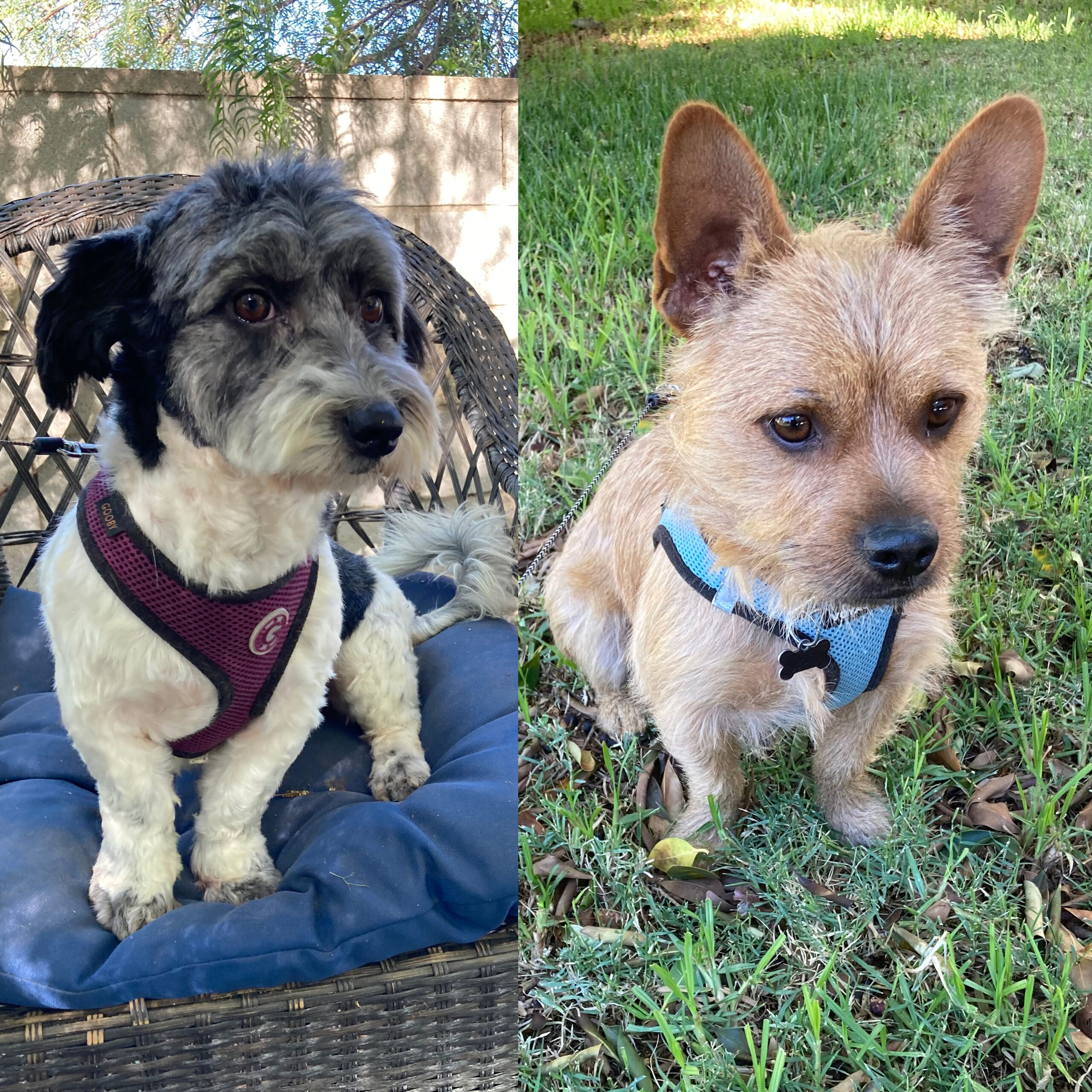 winne-and-charlie