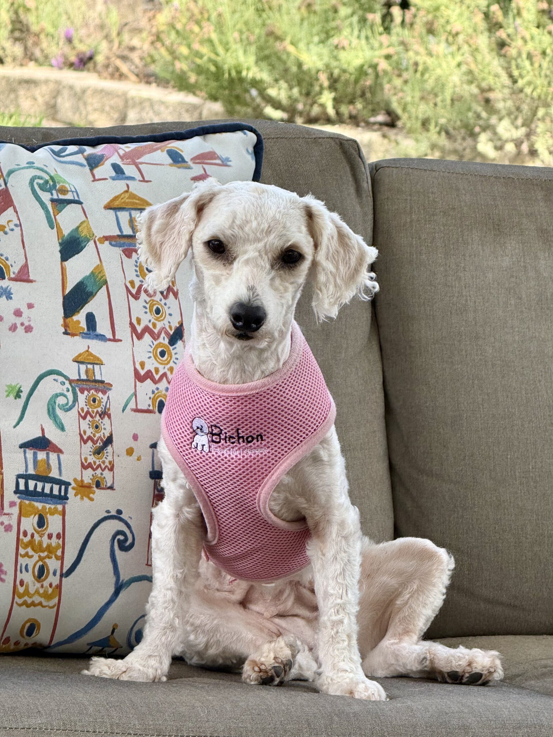 mandy sitting