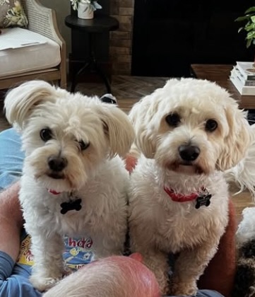 zayne and zander new 2