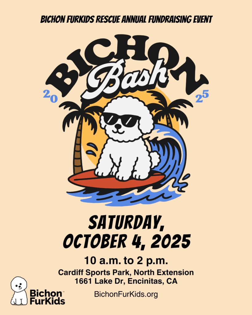 Bichon Bash 2025 Flyer New