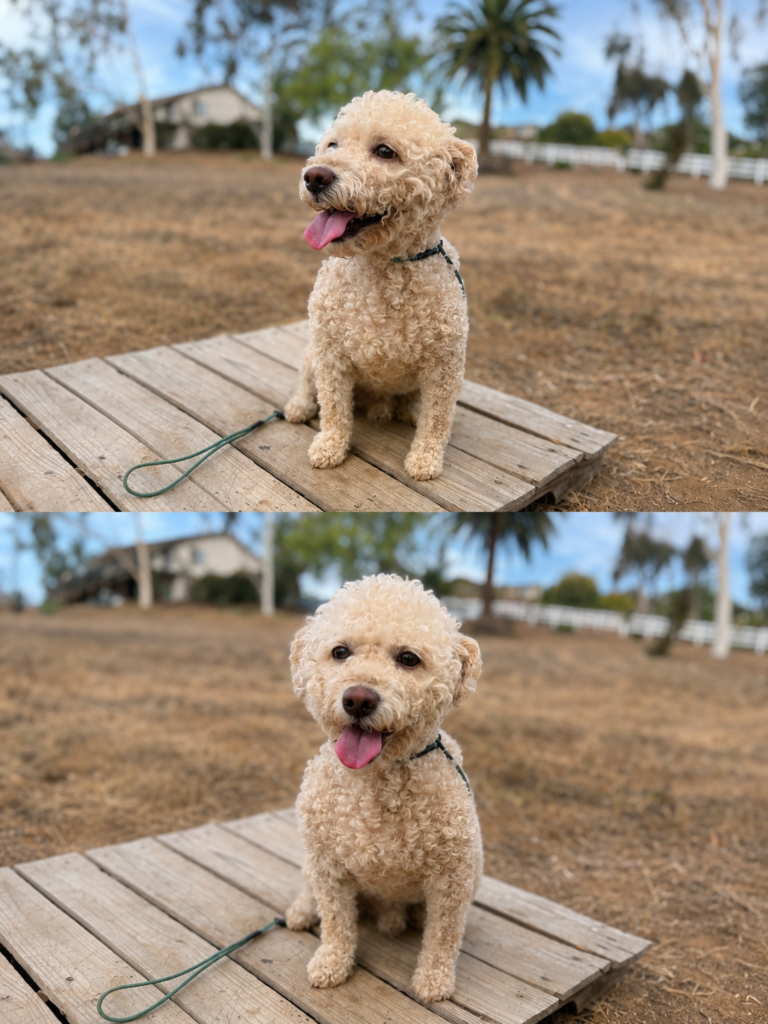 double happy bowie