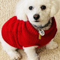 Senior in Nor Cal