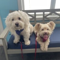 BONDED PAIR