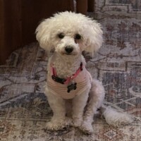 Young Female in Santa Cruz