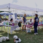 The Bash Raffle area