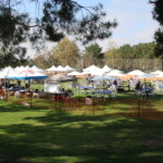 Canopies and Tables