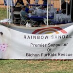 Rainbow Sandals banner