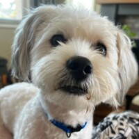 In Training - Young Female in San Diego