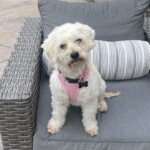 darci sitting